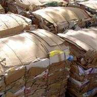 خریدار کارتن و کتاب . دفتر