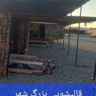 قالیشویی بزرگ شهر،