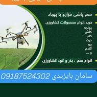 سم پاشی مزارع با پهباد