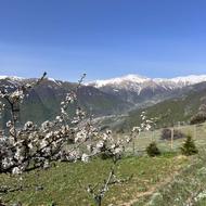فروش زمین در ییلاق گرسماسر شهرستان رامسر