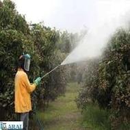 سمپاشی انواع باغ ویلا