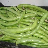 خریدارباقلی
