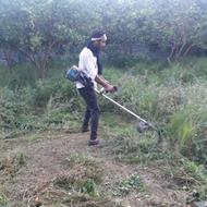 علفتراشی وچوب بری باغ و حیاط