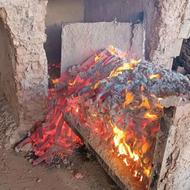 ذغال جکسون