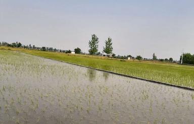 فروش زمین کشاورزی 2300 متر در مرکز شهر