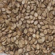 تخمه هندوانه آجیلی مغز پر و درجه یک