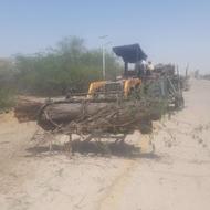 پیمانکار حرس درخت