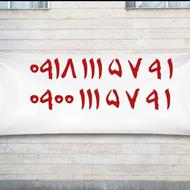 111خشک وپلمپ 09181115791