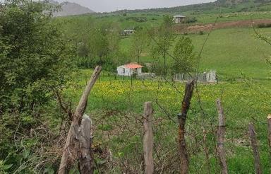 زمین مسکونی و کشاورزی و باغی در روستای آسیابر باقیمت