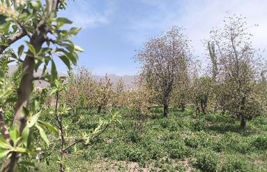 فروش ویلا در تسوج