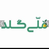 کسب در آمد از ملی گلد