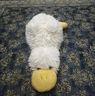 عروسک نقدی یا معاوضه