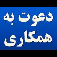 نیازمنده همکار خانم