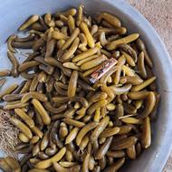 خیارشور دبه ای (درجه یک و تضمینی)