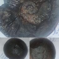 سنگ کلکسونی