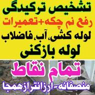 لوله بازکنی نشت یابی رفع نم شبانه روزی