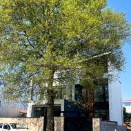 فروش تریبلکس 240 متری قطعه یک جنگل چمستان