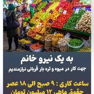 نیروی خانم ساعت کاری 9صبح تا 6 غروب ماهی 12میلیون