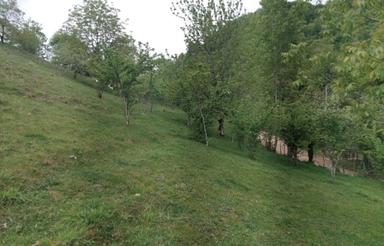 زمین کوه پایه ای و صاف