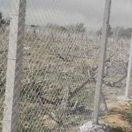 فنس‌کشی با قیمت مناسب
