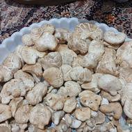 قارچ کما تازه بار