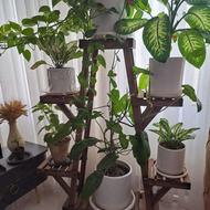 استند گل چوبی