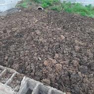 کود گاوی مزرعه