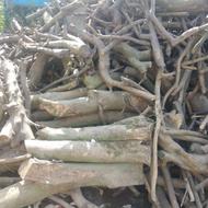 فروش چوب درختی