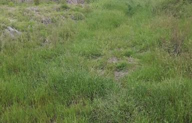 500 متر زمین واقع روستای ولوند
