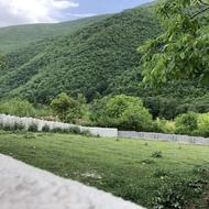 فروش زمین جنگلی در روستای برار