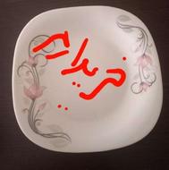 سرویس چینی و آرکوپال