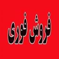 فروش فوری و زیر قیمت تیگو 7 پرو مدل 1402 سفید