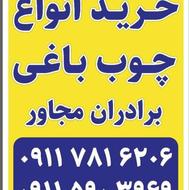 خریدار انواع چوب های باغی؛اُکالیپتوس