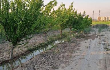 زمین باغی در اسلامشهر علی اباد طپانچه