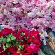 گل محمدی و گلاب درجه 1