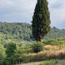 فروش زمین مسکونی 450 متر در شکتا