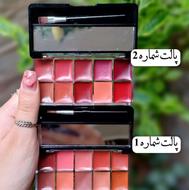 فیس براش.....