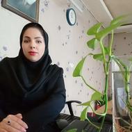 بیمه بدون چک
