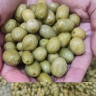 زیتون روغنی اصل رودبار