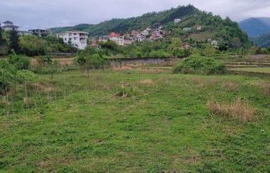 فروش 230 متر زمین شهرکی در کشکوی شهسوار