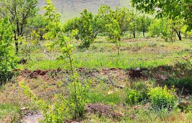 فروش زمین گلخانه ای،باغی و مسکونی درروستای دوتو(چشمه مرغاب)