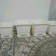 چهارگلدان پلاستیک