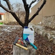 سم پاشی درخت باغ خانه