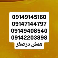 09142203898