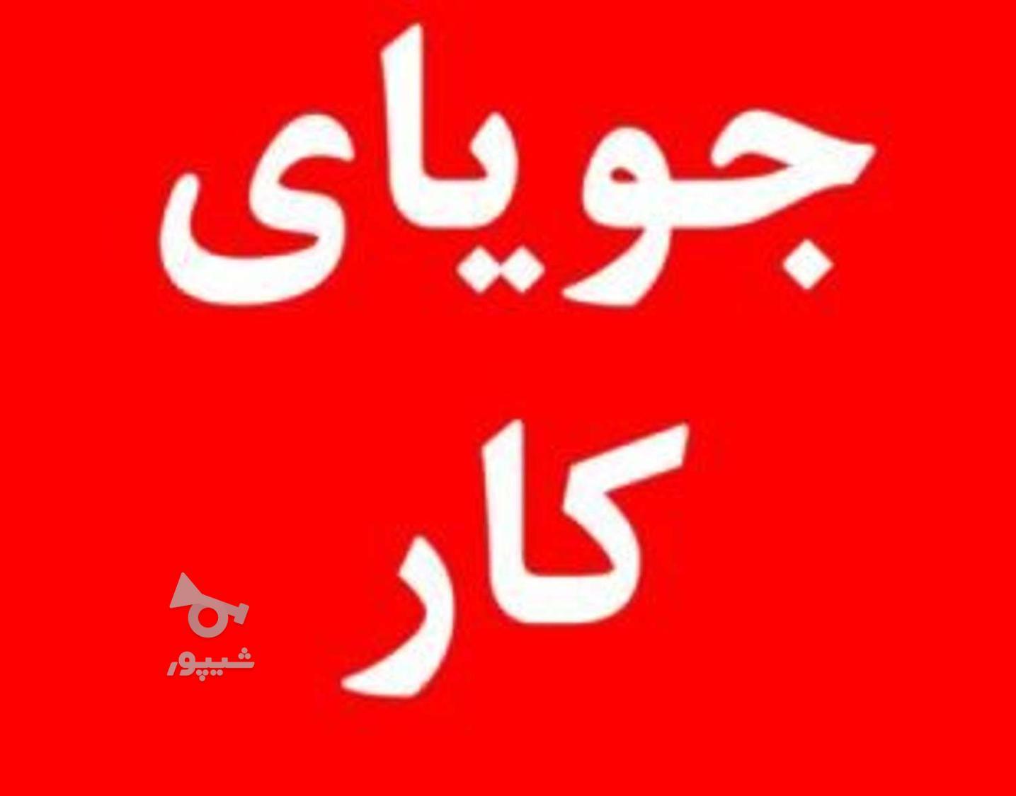 جویایی کار هستم در شب - Mohammad