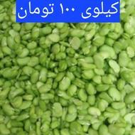 باقالی سبز و تازه پاک شده