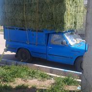 یونجه ای تازه خشک سبز