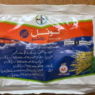کانسیل بایر آلمان