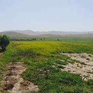 زمین کشاورزی درقلعه تل