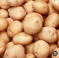 فروش سیب زمینی عمده و خرده تازه